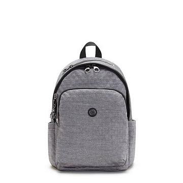 Kipling Delia Classic Rygsække Sølv | DK 1555EB